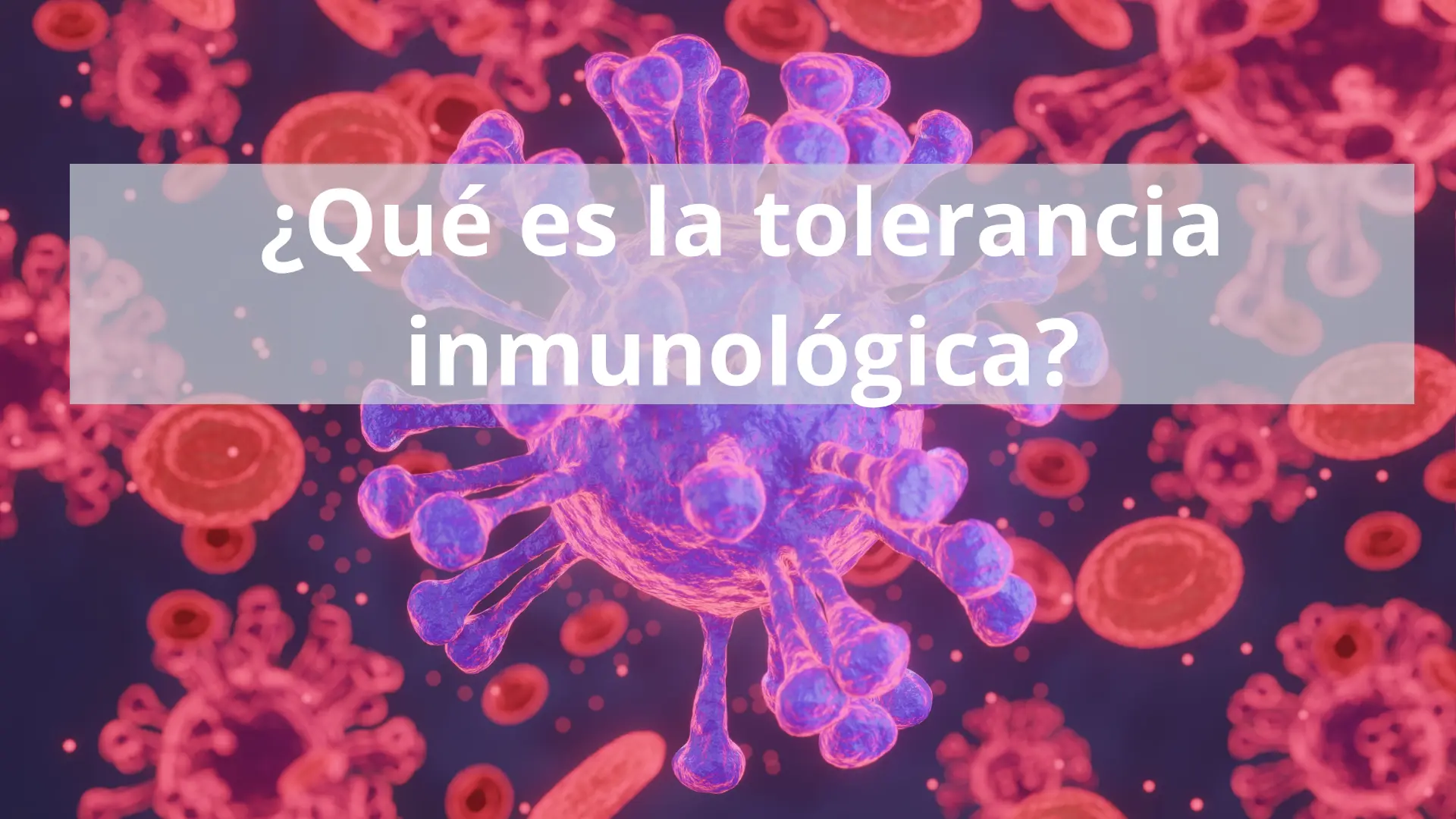 ¿Qué es la tolerancia ¿Qué es la tolerancia inmunológica